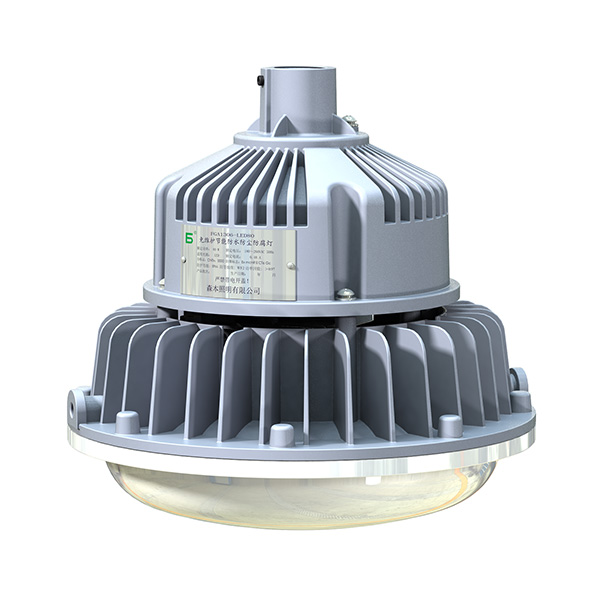 FGA6306 Series Weatherproof LED Light 